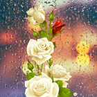Rose Love Flower Icon آئیکن