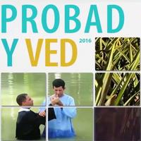 Poster PROBAD Y VED