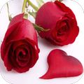 ”Rosas Rojas
