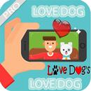 Love Dog-Dog Love National Pro APK