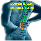 Lower Back Muscle Pain icône