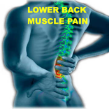 Lower Back Muscle Pain
