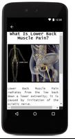 Lower Back Muscle Pain capture d'écran 3