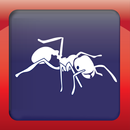 Queensland Fire Ant Risk Area APK