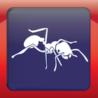 Queensland Fire Ant Risk Area biểu tượng