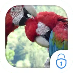 Parrots Live Theme APK Herunterladen