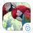 Parrots Live Theme APK