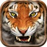 Tame Tiger Locker Live Theme