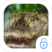 Crocodile Live Theme