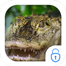 Crocodile Live Theme APK
