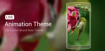 Humming bird dragonfruit theme