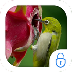 Humming bird dragonfruit theme icône