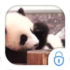 Cute Panda Locker Live Theme أيقونة