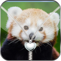 Cute Panda Zipper Lock Screen