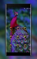 colorful elegant peacock lock theme capture d'écran 1