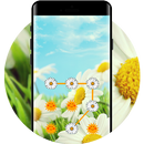 APK Daisy APP Lock Theme Flower Pin Lock Screen