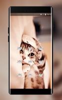 Lock theme for oneplus5t pets theme poster