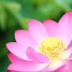 Sam Giang Cua Duc Huynh Giao Chu