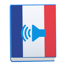 Learn Basic French Everyday Conversation Phrases APK