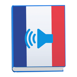 Learn Basic French Everyday Conversation Phrases biểu tượng