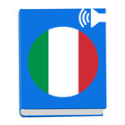 Learn Basic Italian Everyday Conversation Phrases icône