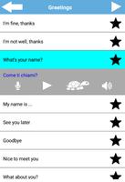 Learn Basic Italian Everyday Conversation Phrases screenshot 2