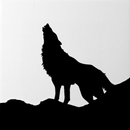 Lone Wolf - Registro di guerra APK