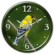 American Goldfinch Clock LWP