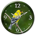 American Goldfinch Clock LWP icon