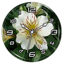 APK Alstroemeria Clock Live WP