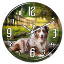 Dog Clock Live Wallpaper APK
