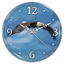 Eagle Clock Live Wallpaper APK