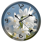 Jasmine Clock Live Wallpaper icône