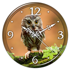 Owl Clock Live Wallpaper icono