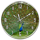 Peacock Clock Live Wallpaper APK