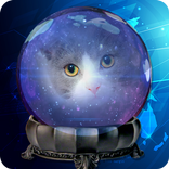 Know Your Past Simulator