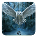Owl APK
