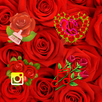 Rose Flower Theme APK