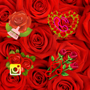 Rose Flower Theme APK