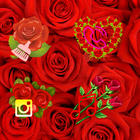 Rose Flower Theme icône