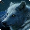 Moon Wolf Fox Theme APK
