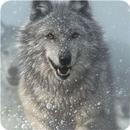 Wolf Glory Legendary APK