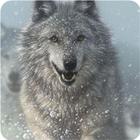 Wolf Glory Legendary icône