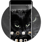 Theme for Lava A11 Black Cat Wallpaper आइकन