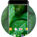Themes for Lava Iris N320 APK