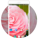 Themes for Lava Iris Atom 2 icon