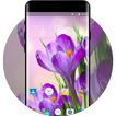 Themes for Lava Iris Pro 30+