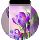 Themes for Lava Iris Pro 30+ APK