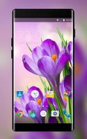 Themes for Lava Iris Pro 30+ poster
