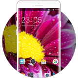Theme for Lava Iris X1 Atom HD Zeichen